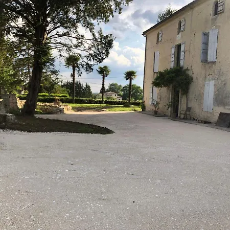 Bears N Breakfast קונדום