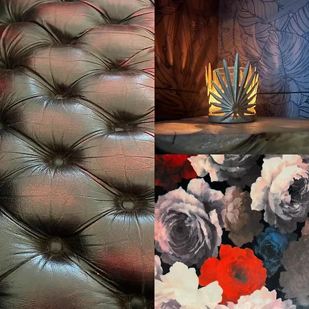 לינה וארוחת בוקר Bears N Breakfast קונדום