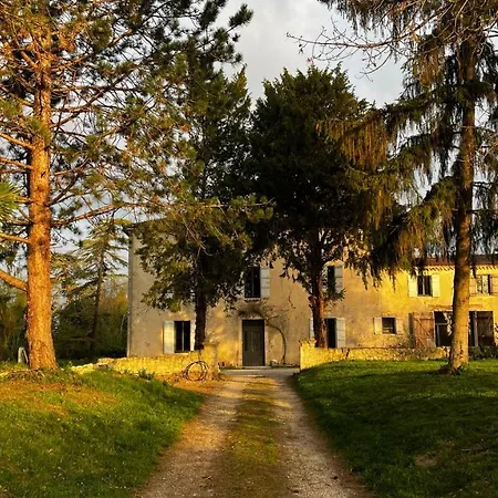 Bears N Breakfast Couette-café